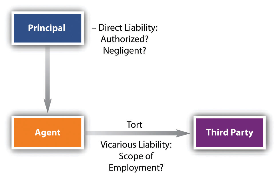 Chart showing tort liability in agency law